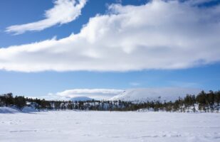 Storfisktjønnan II