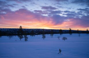 Morning Colors near Hävlingen