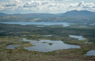 View from Skedbrofjället I