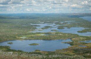 View from Skedbrofjället II