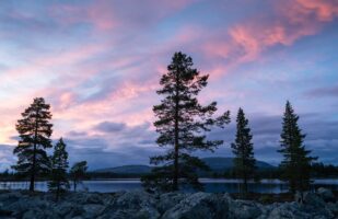 Evening glow at Öster-Rödsjön